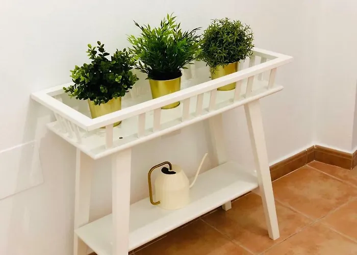 Canaryislandshost L Lovely Lanzarote * Nazaret