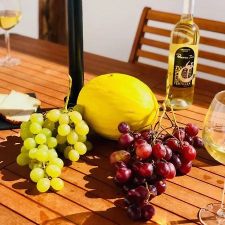 Canaryislandshost L Lovely Lanzarote Nazaret